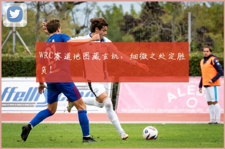 WRC赛道地图藏玄机,细微之处定胜负!
